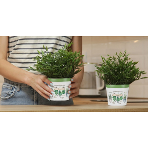 Osłonka metalowa na doniczkę 14cm Siciliana herbs